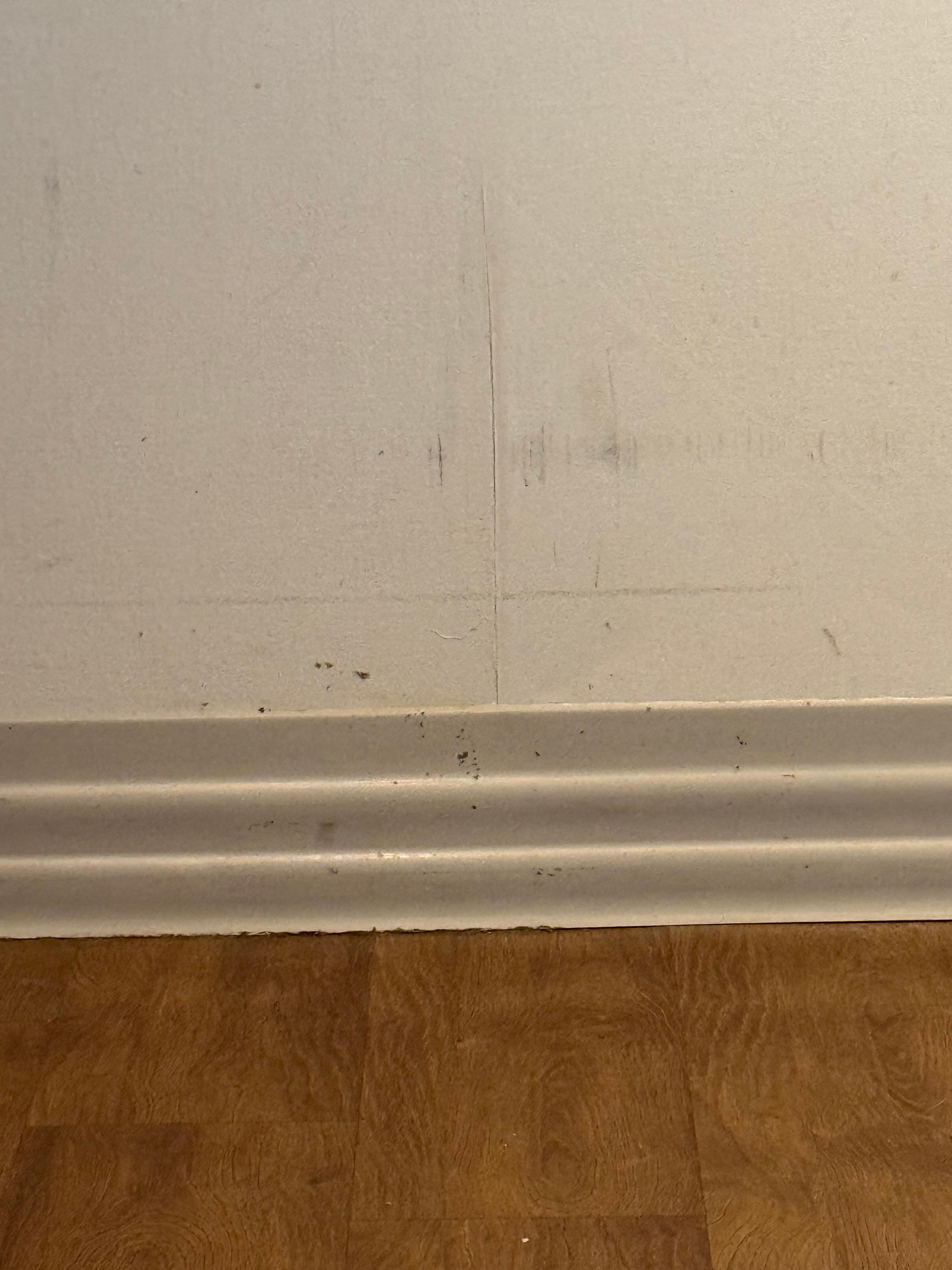 Damaged, scuffed walls.