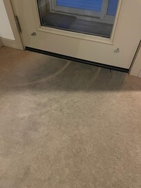 Backdoor carpets also heavily stained.