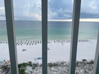 The view