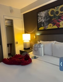 Bed was very big and spacious and room was bigger than I expected for a NY room and very nice view