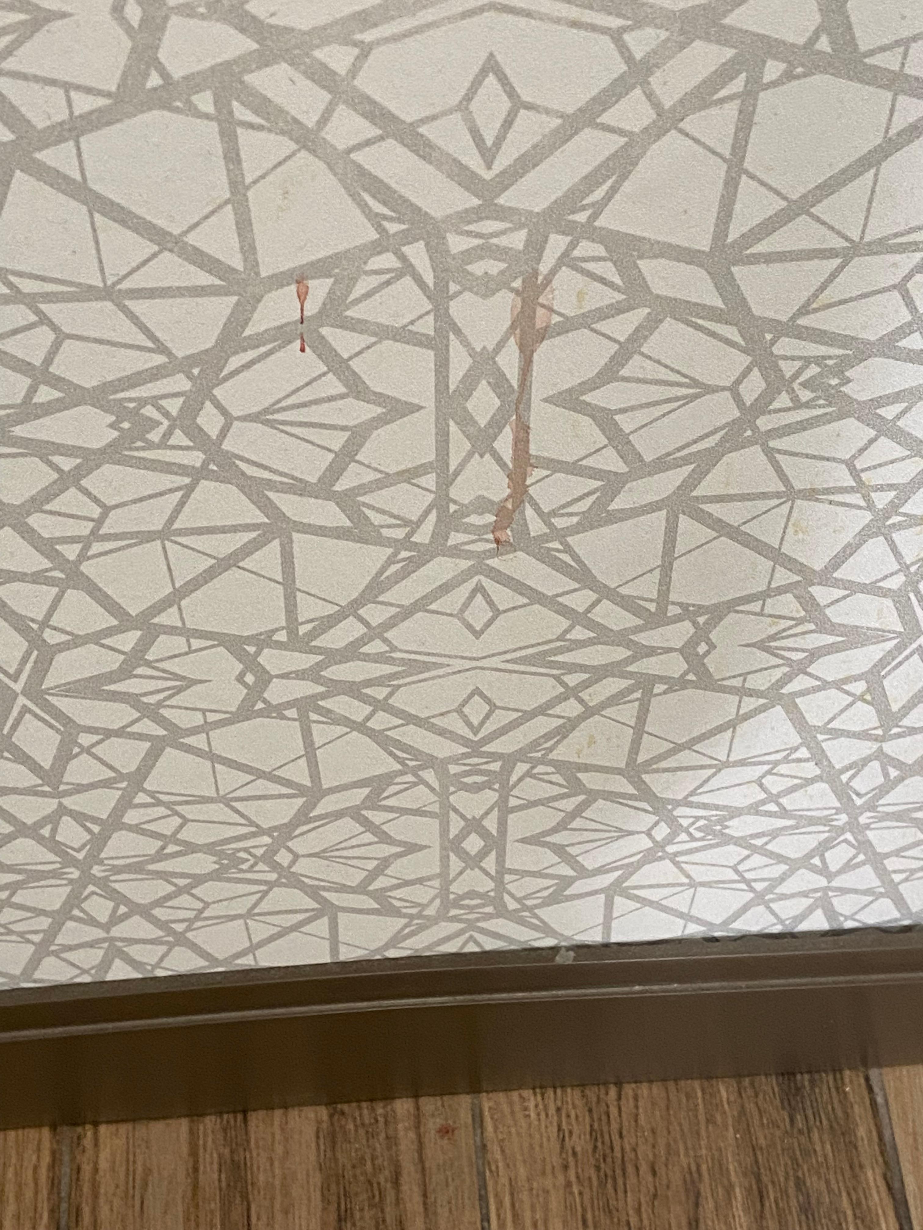 Blood stains on walls of toilet and bathroom area