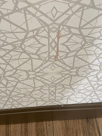 Blood stains on walls of toilet and bathroom area