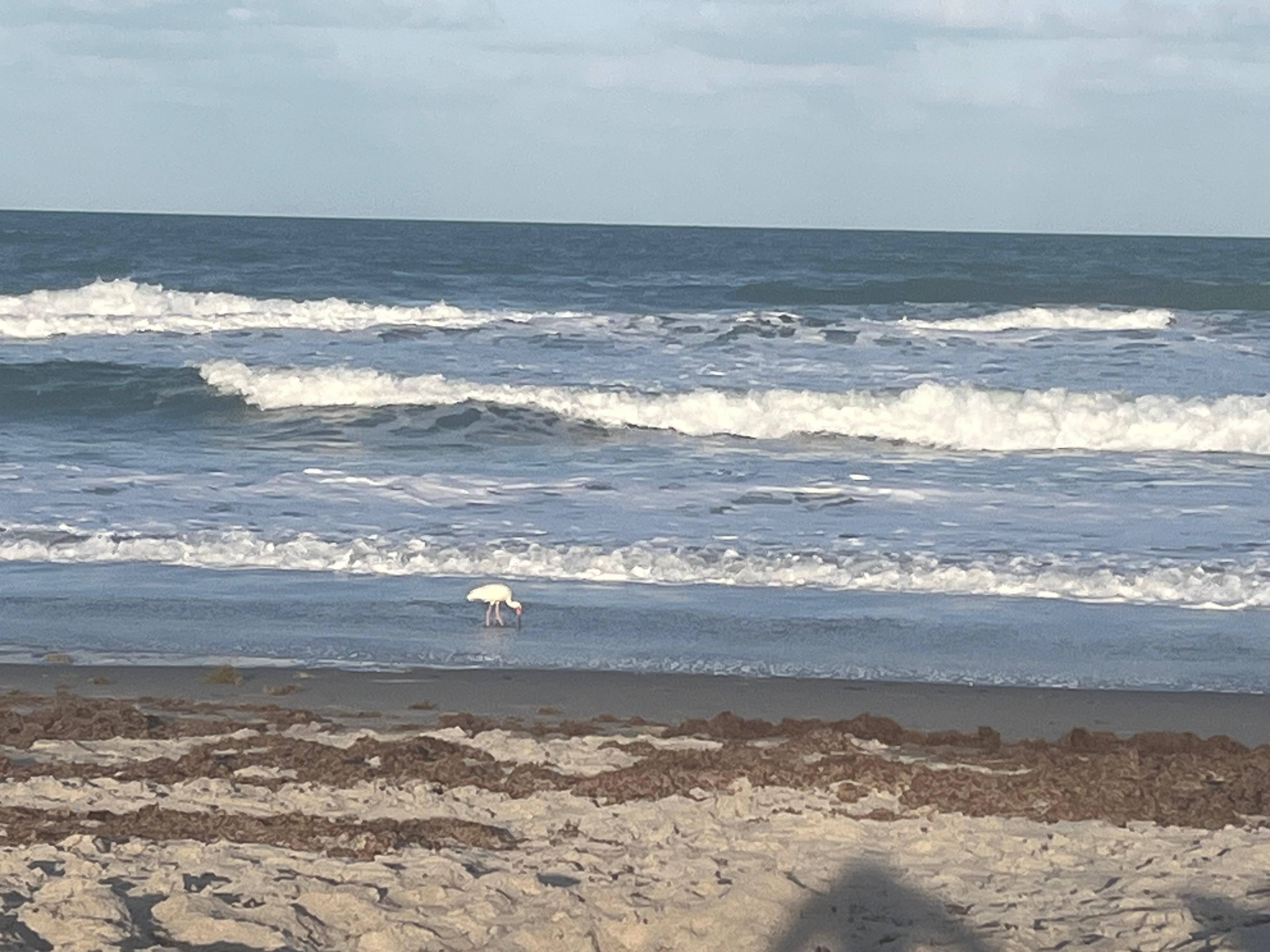 Evening on the beach