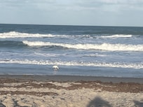 Evening on the beach
