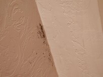 Mold in the bathroom