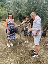 Cresta the resident donkey!