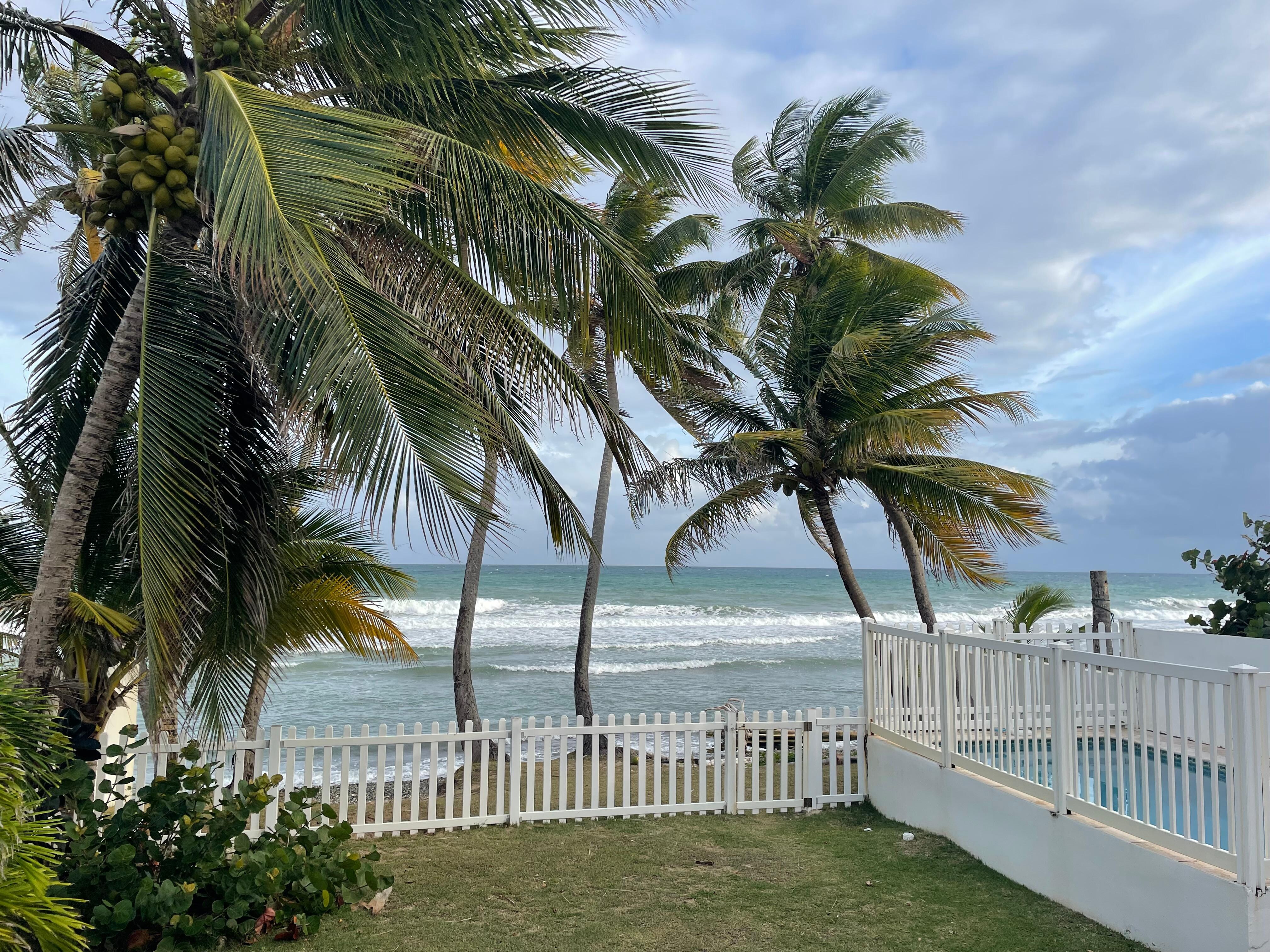View from the back deck