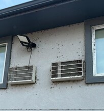 Outside photo showing the care they take with keeping it clean.