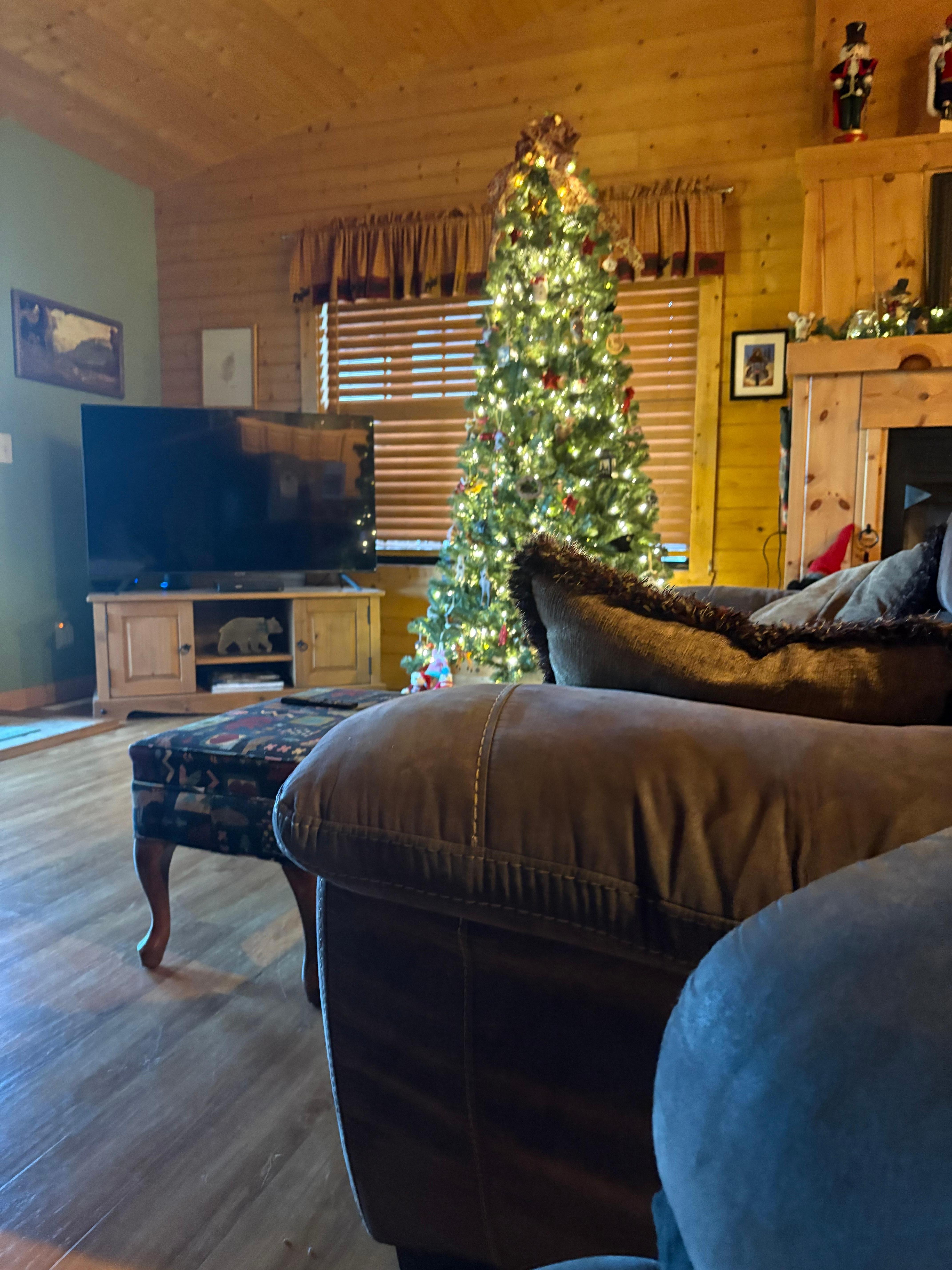 Christmas tree made it feel so homey 