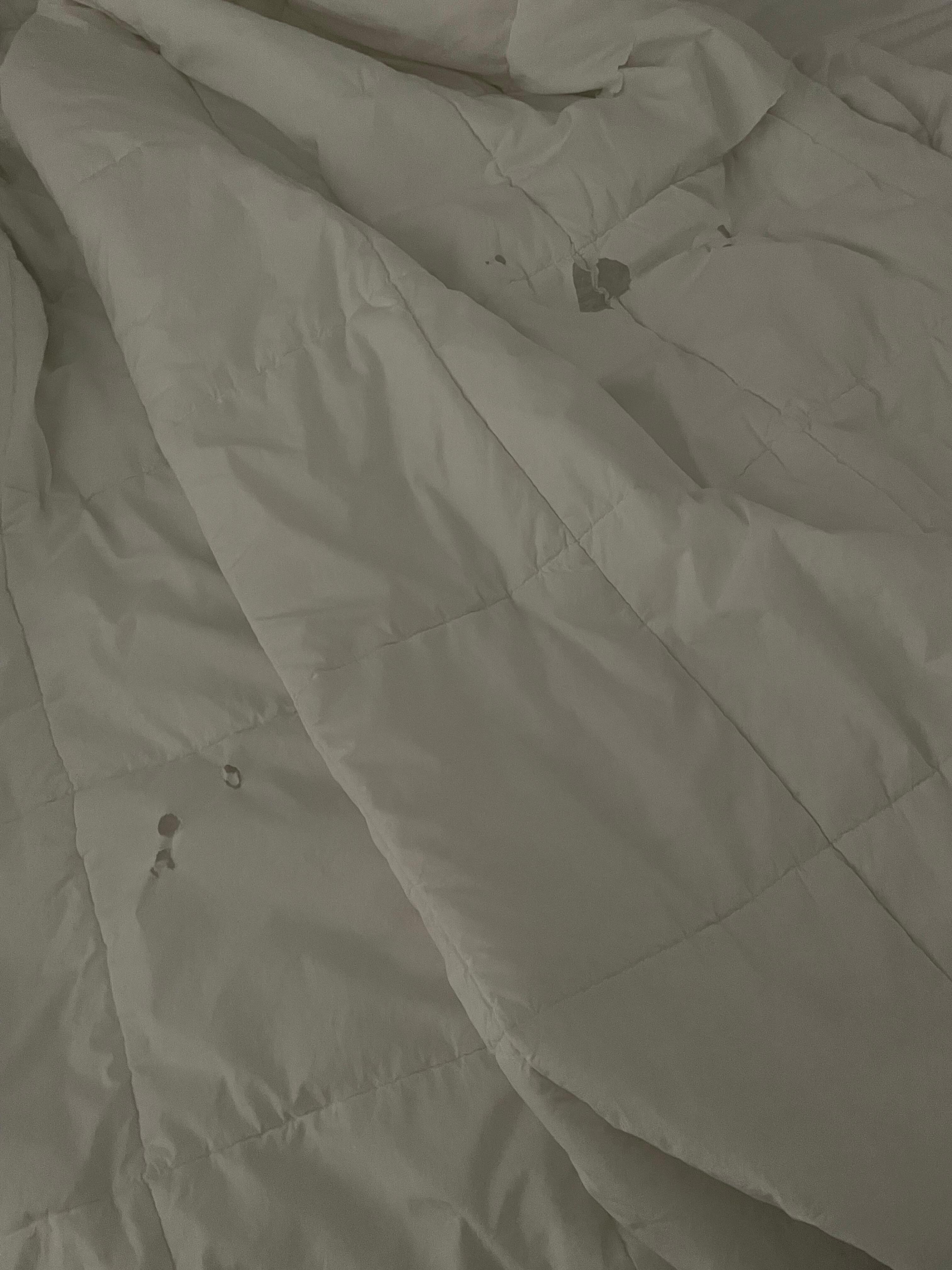 Bed sheets had multiple cuts 