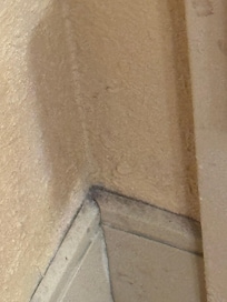 Behind the front door