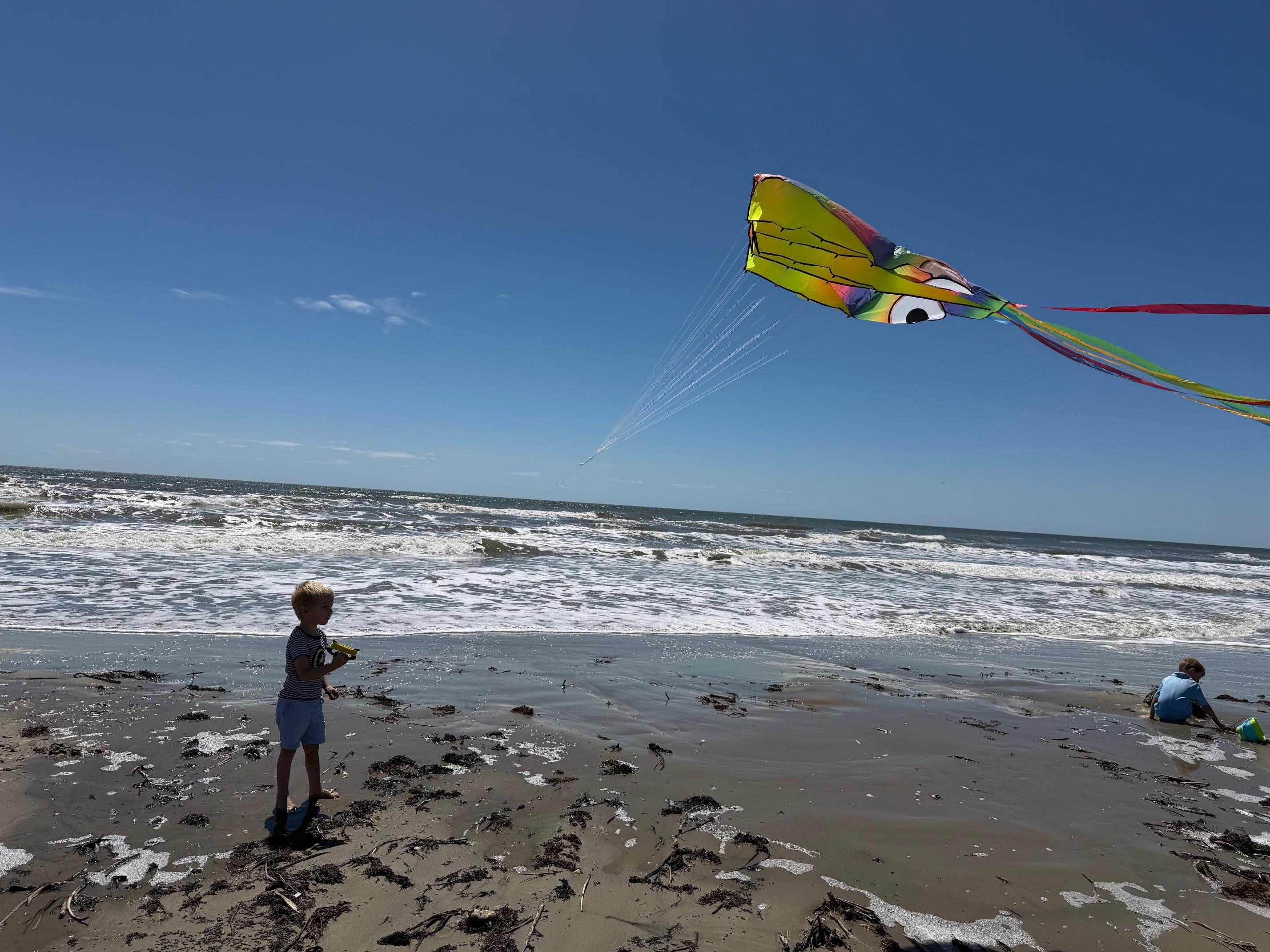 The kids loved flying kites on the beach.
