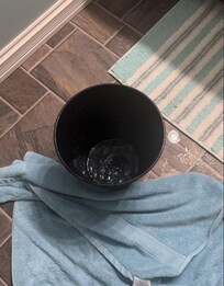 Water collecting in the bucket below.