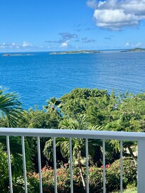 View from primary bedroom.