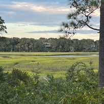 View from the screened porch.