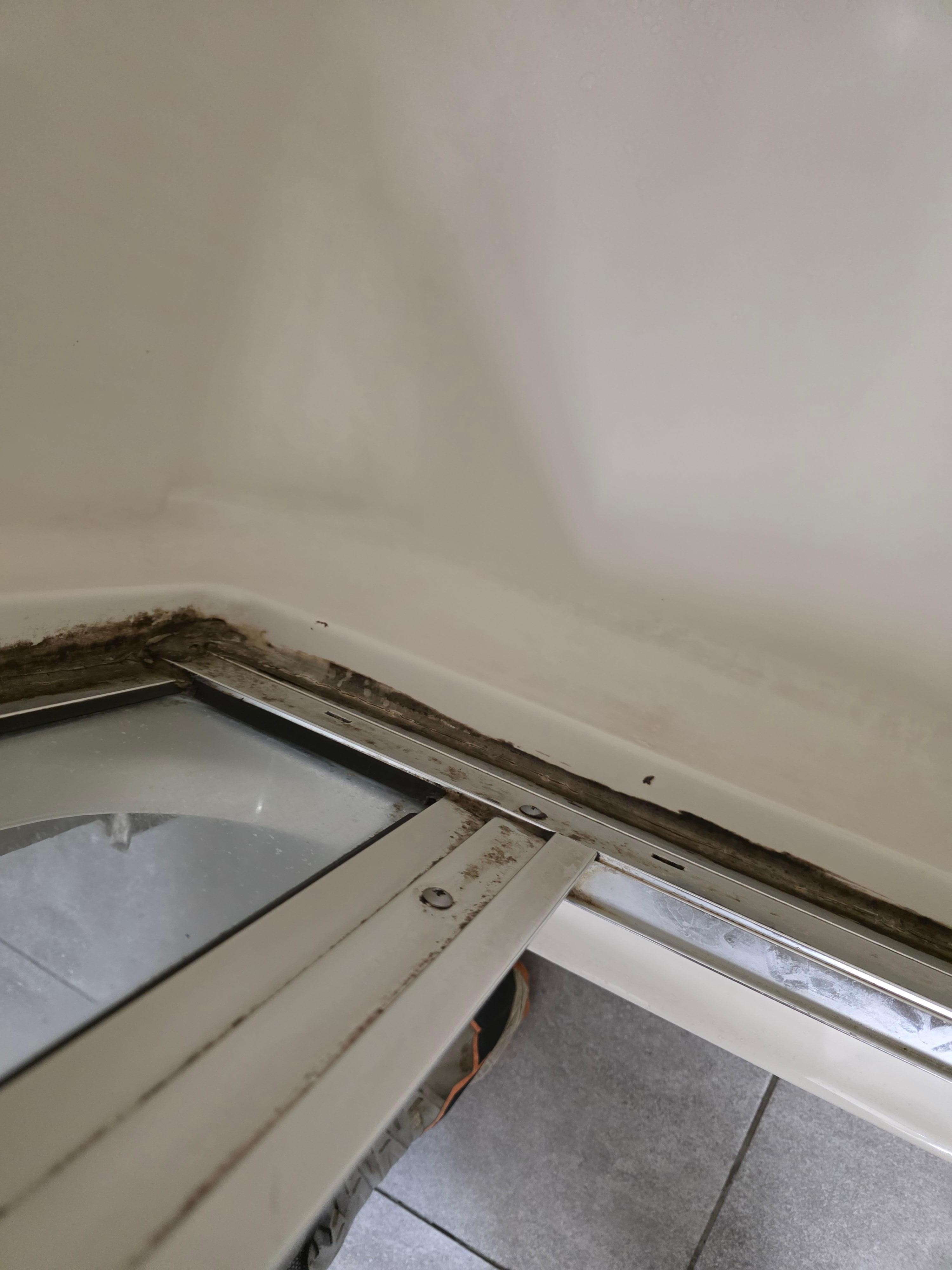 Mold. Inside the shower.