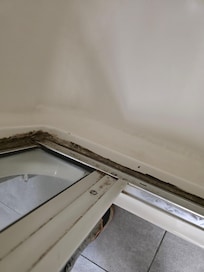 Mold. Inside the shower.