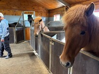 Stables