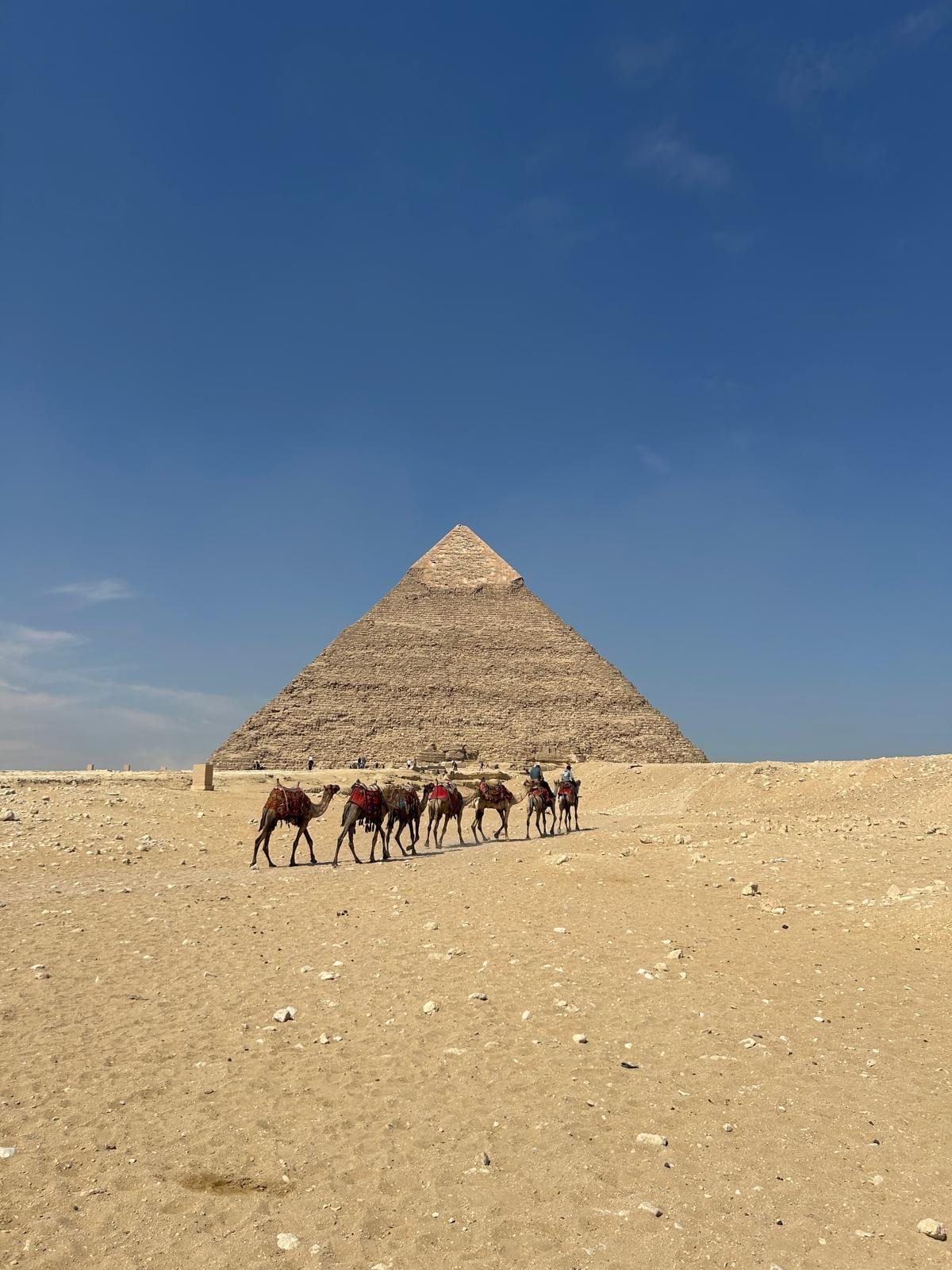 Le moyen le plus marrant pour visiter 