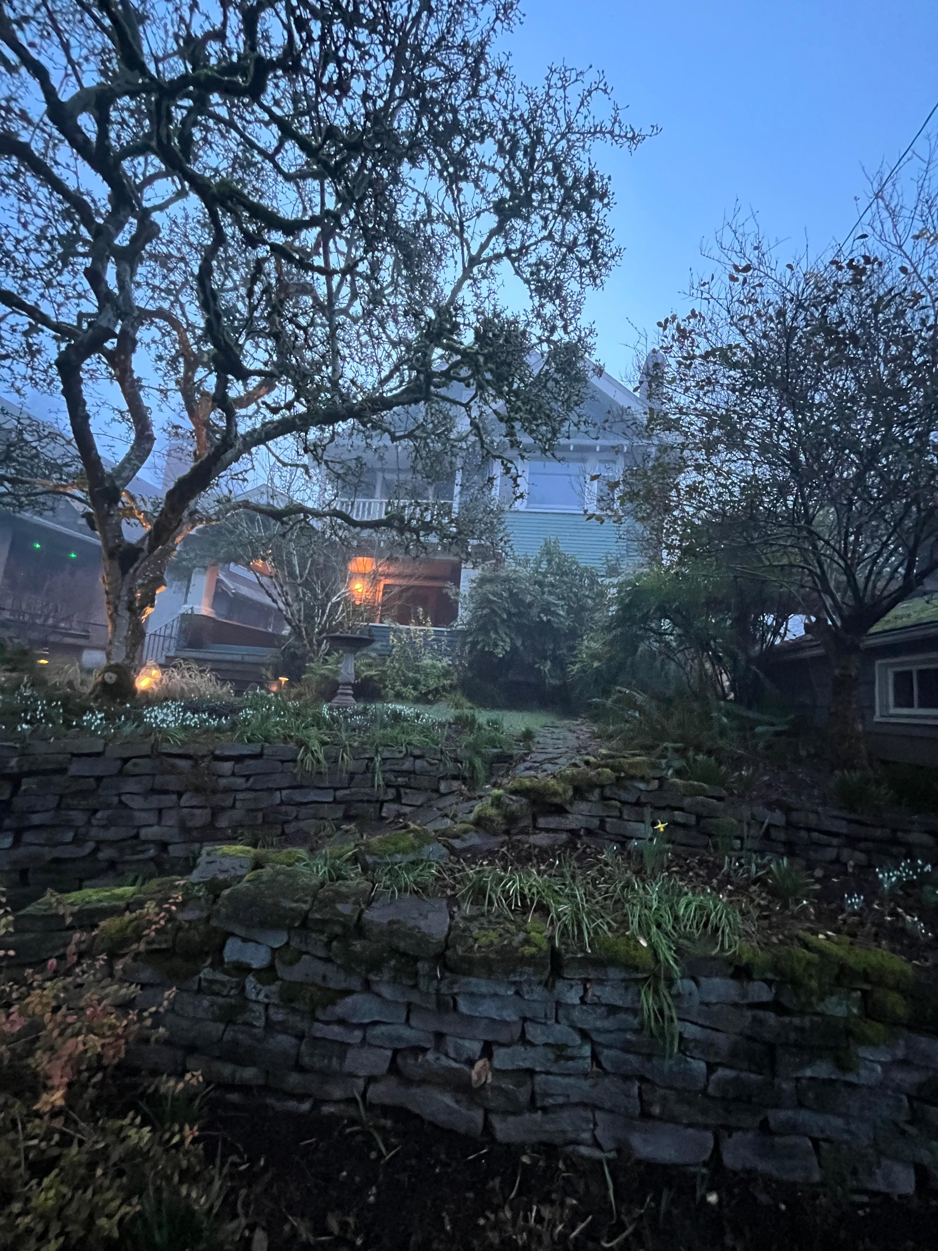 Front of this stunning house early one foggy morning. 