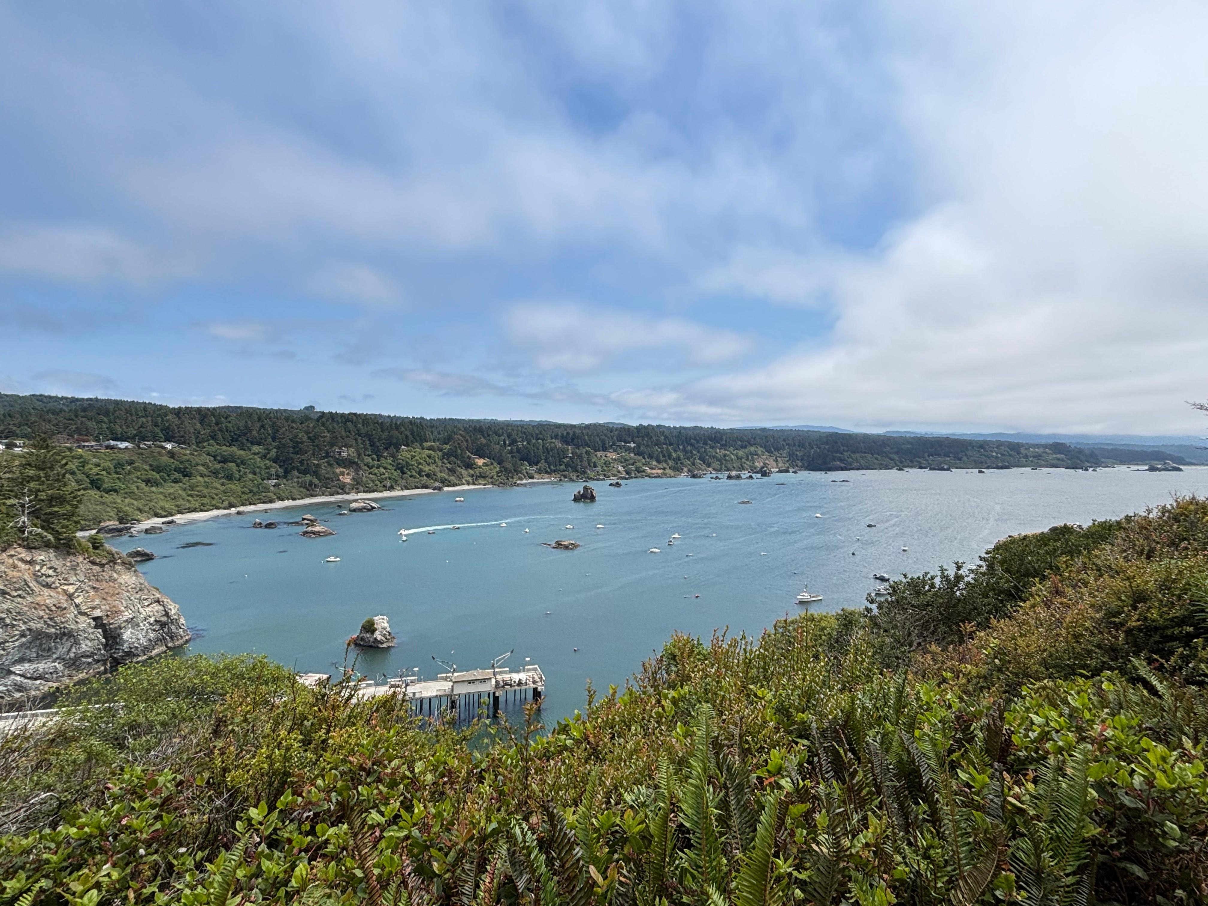 View from the Trinidad Head Loop trail