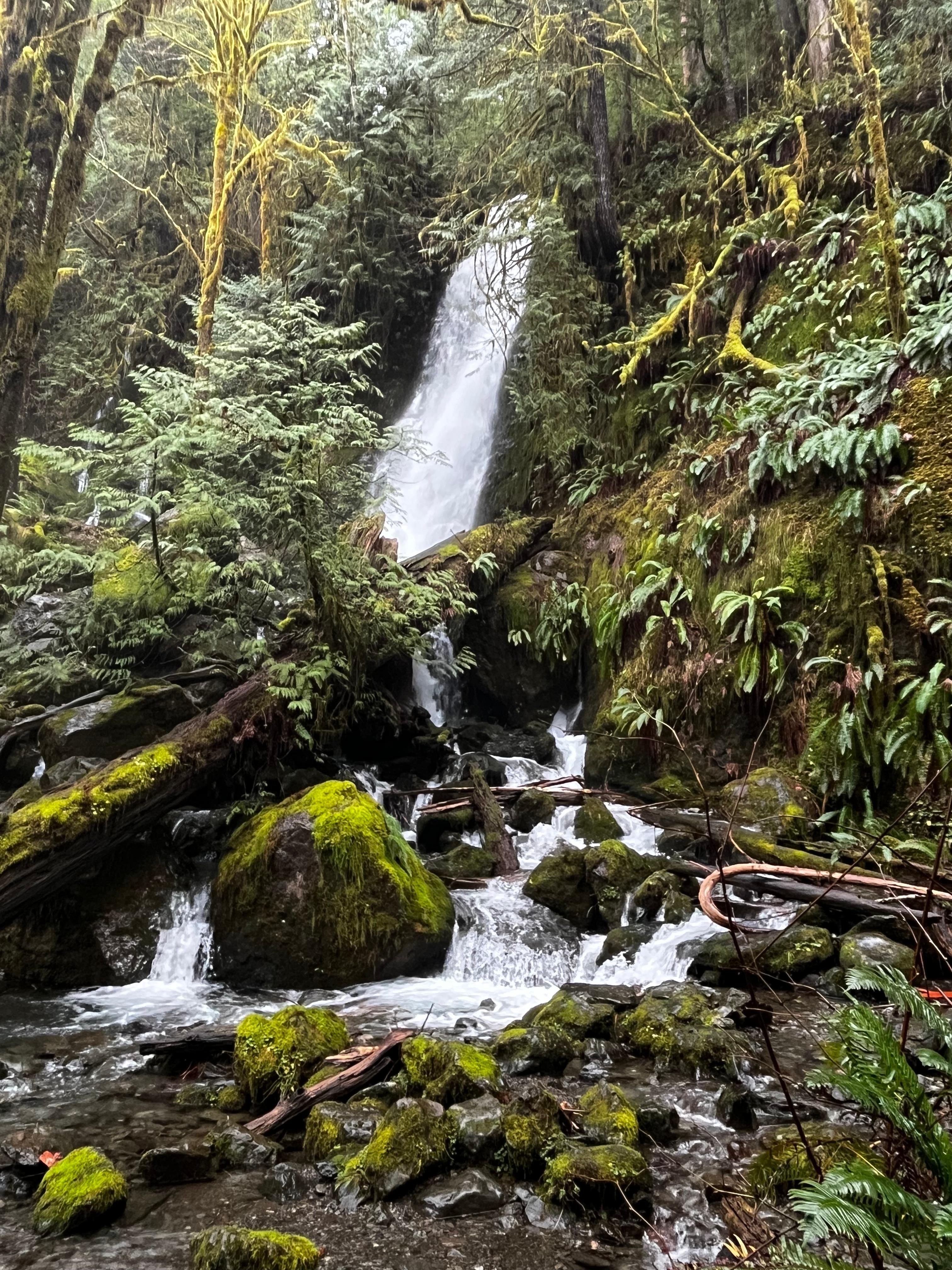 Nearby waterfall within biking distance 