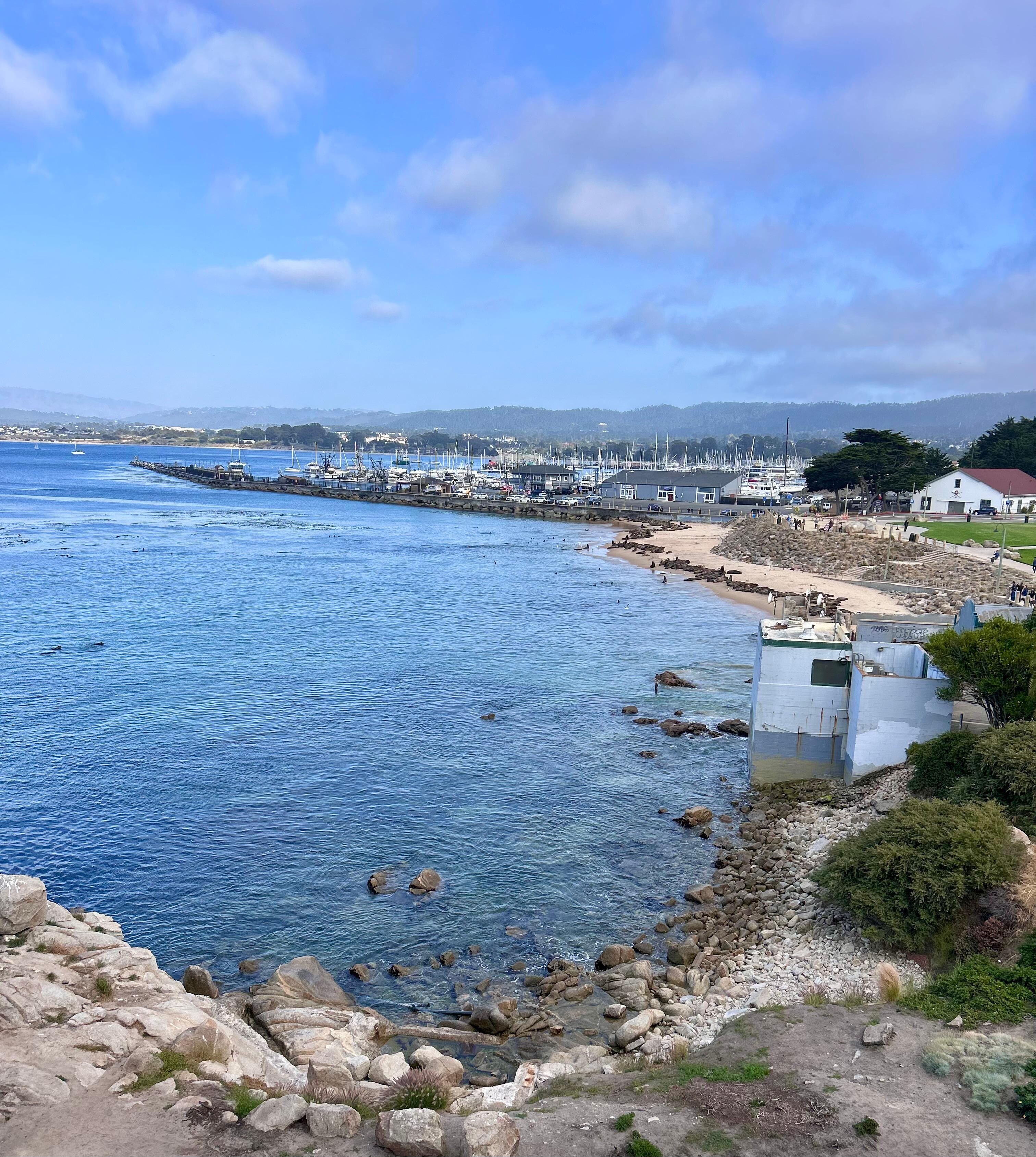 View over beach