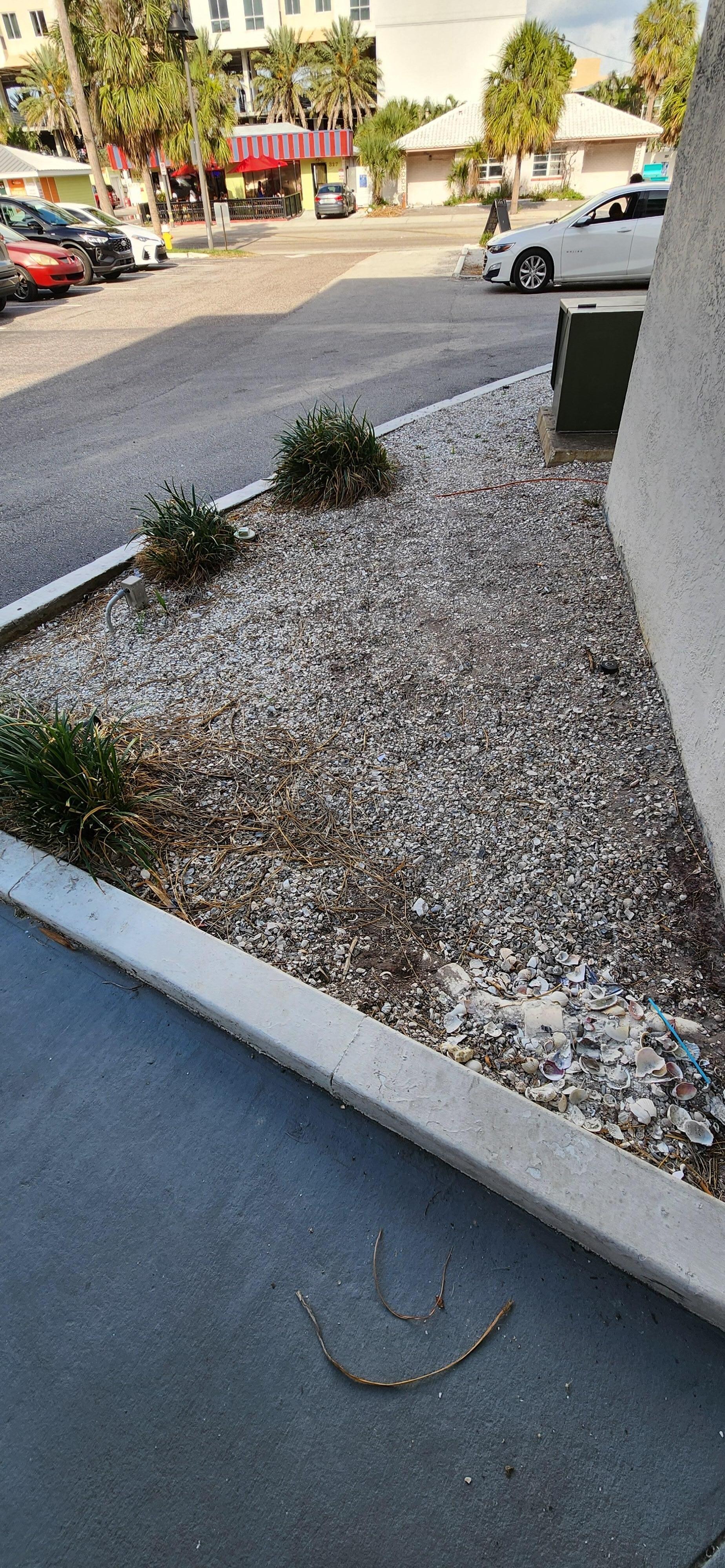 Roundup would work wonders here.