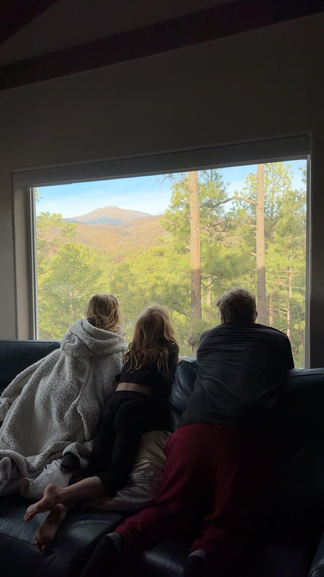 View from living room 