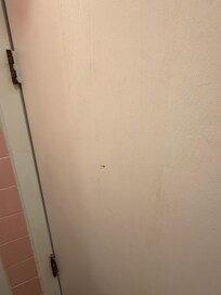 Brown spot, looks like blood behind the bathroom door.