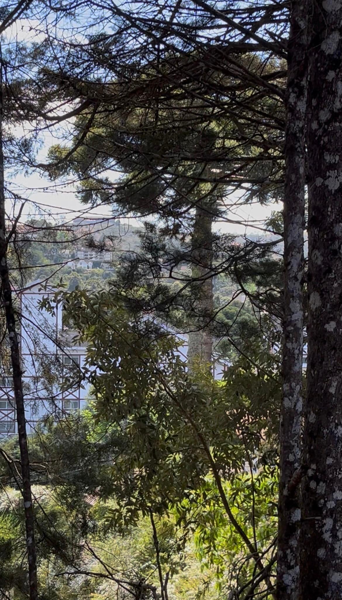 Uma vista maravilhosa 