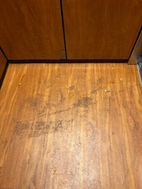 Dried urine with dirt mixed in