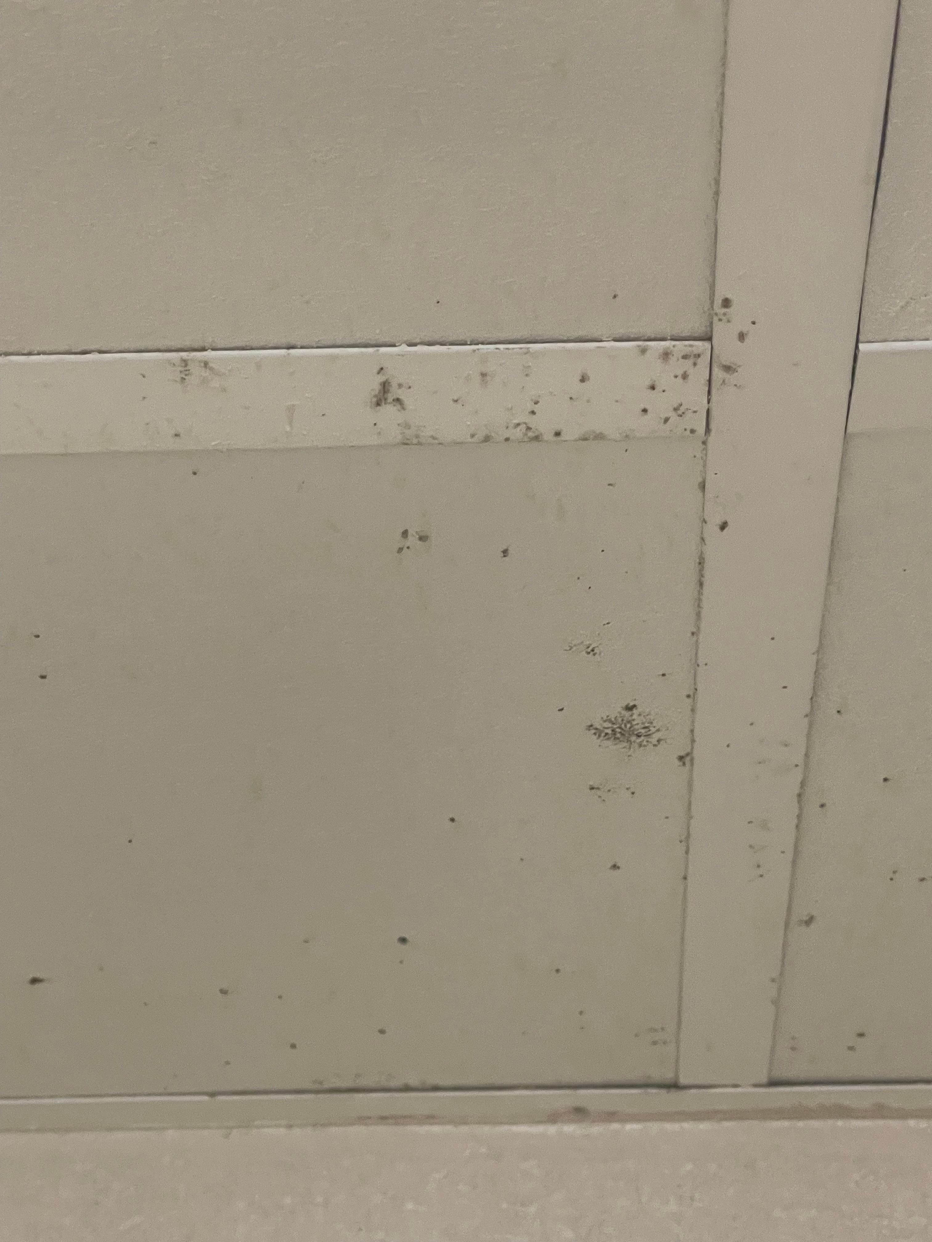 Mold and mildew in bathroom