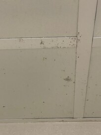 Mold and mildew in bathroom