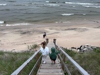Staircase down to the beach