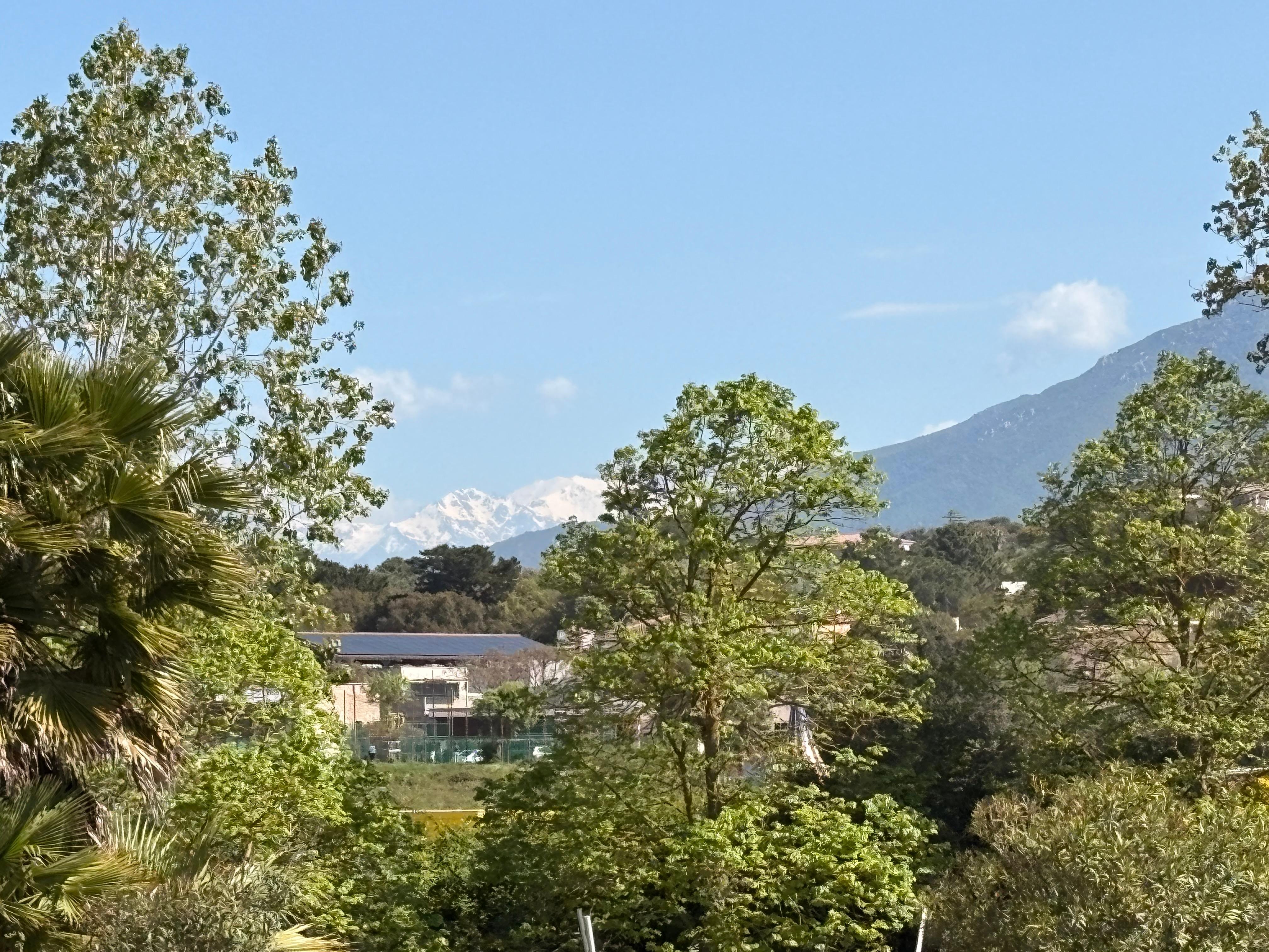 Peak of mountains behind the garden trees. 