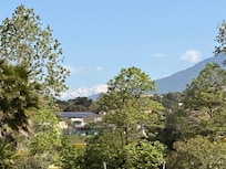 Peak of mountains behind the garden trees.