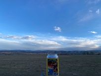 Backyard view.
