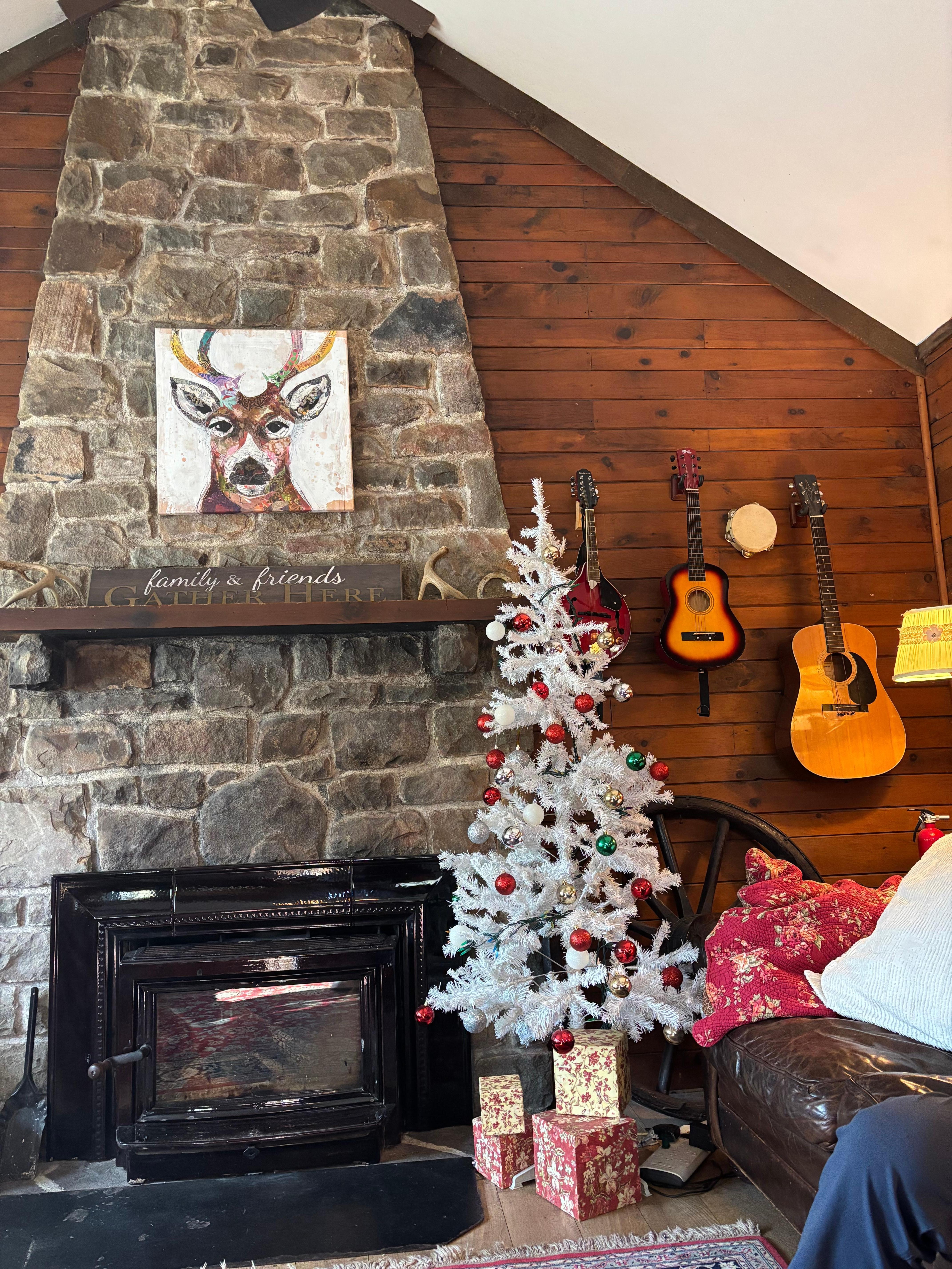 Family room fireplace