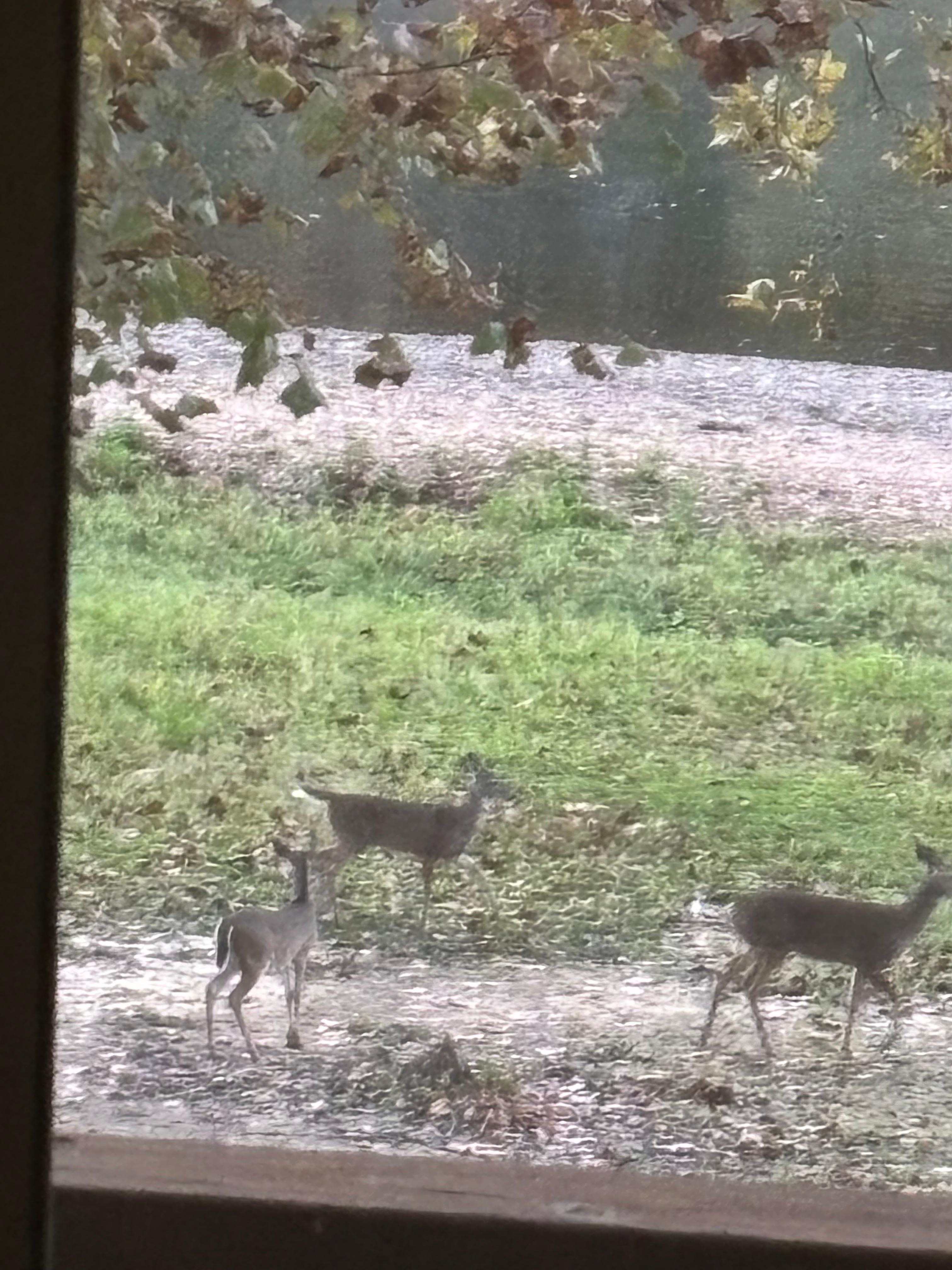 Taken from the back deck of the condo!!