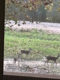 Taken from the back deck of the condo!!