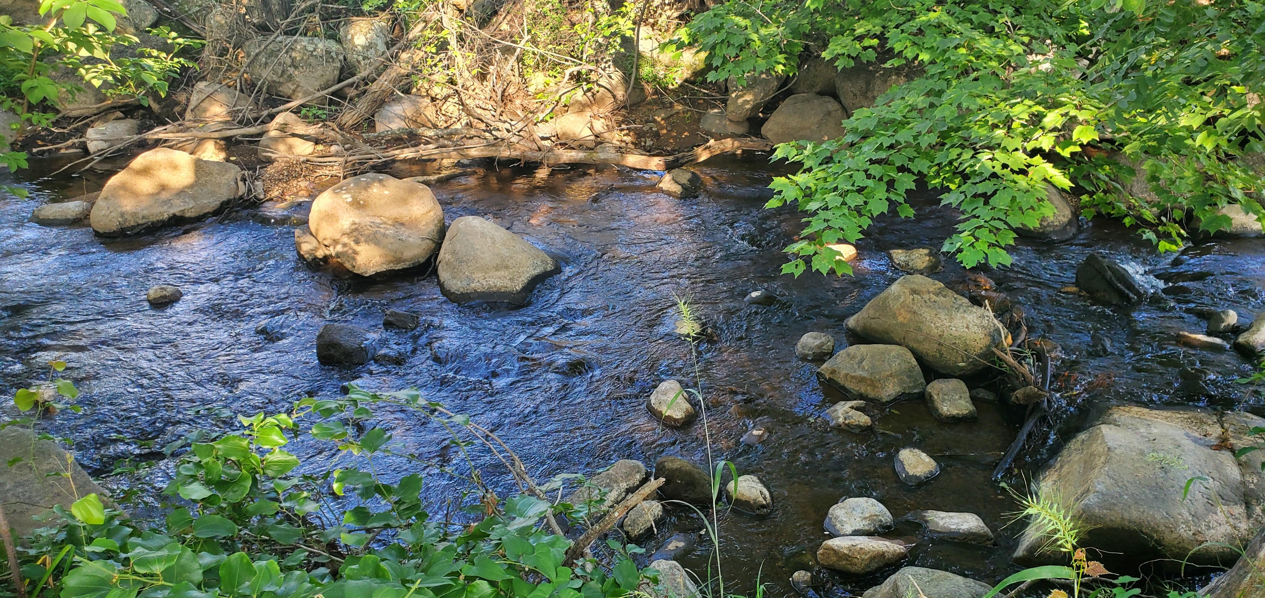Creek on Wheats Valley Rd