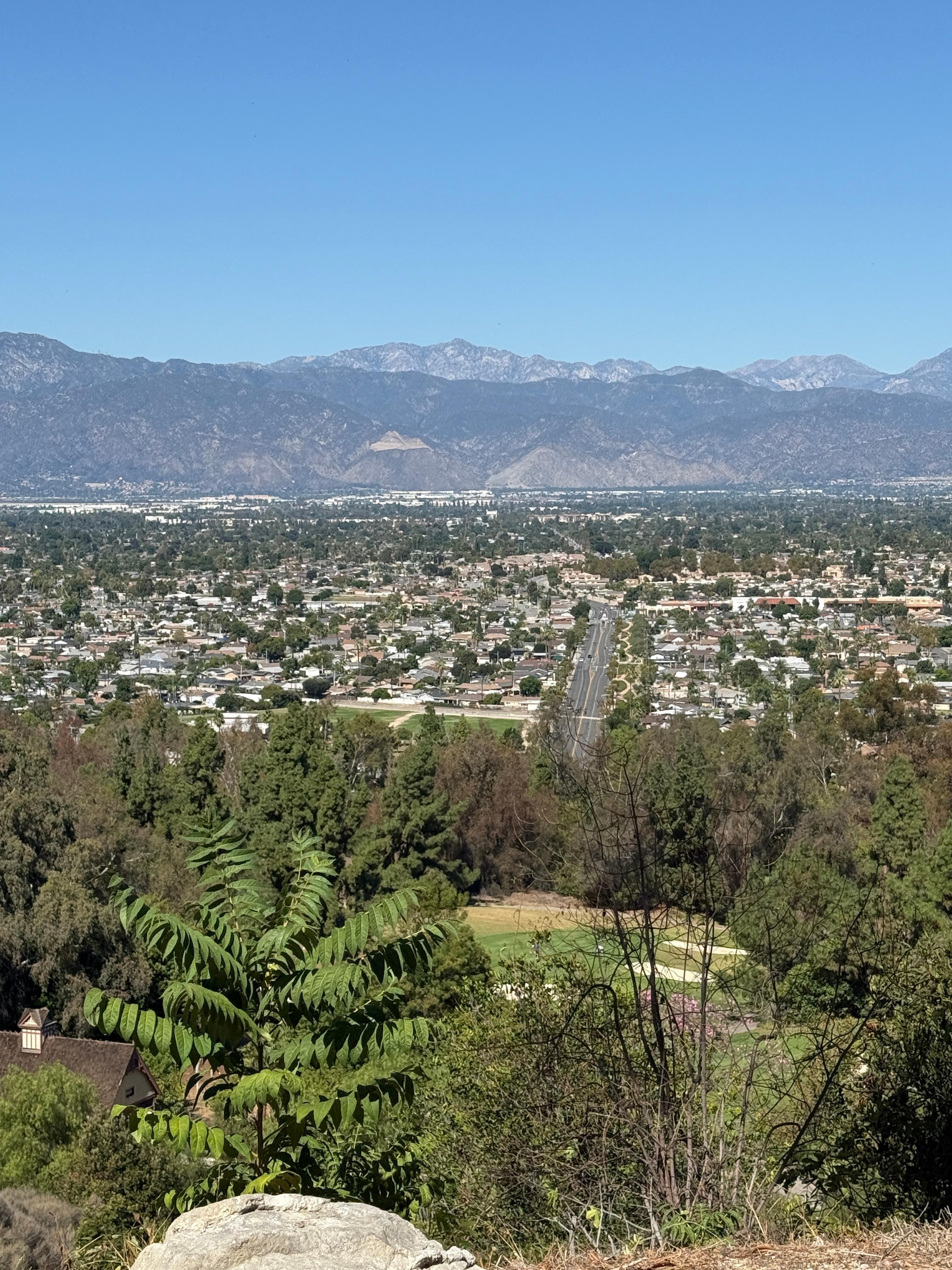 The view from the pool