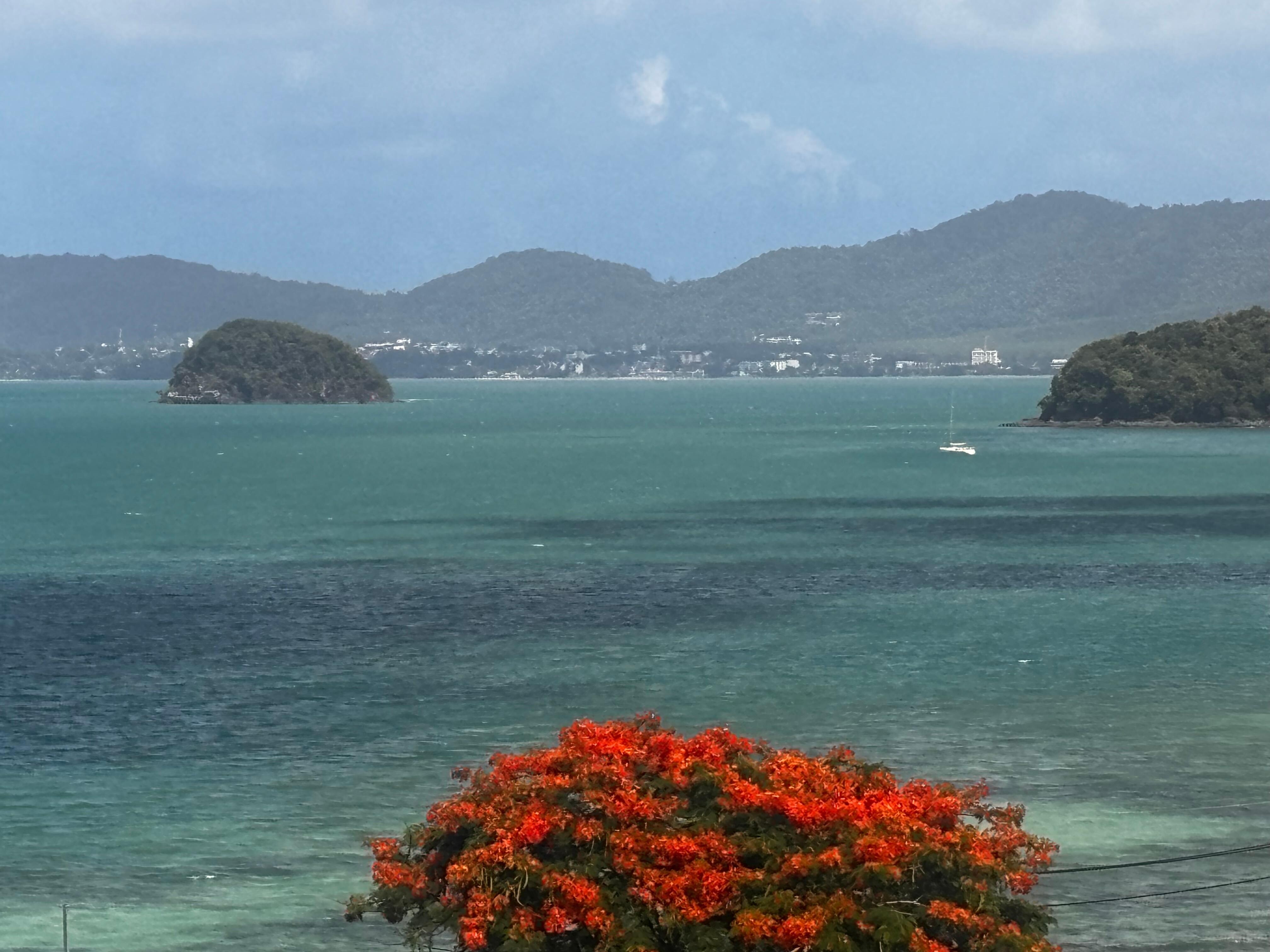 View from my room