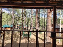 Sitting on the porch looking straight ahead