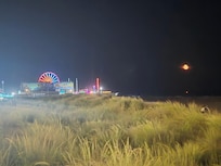 Night life