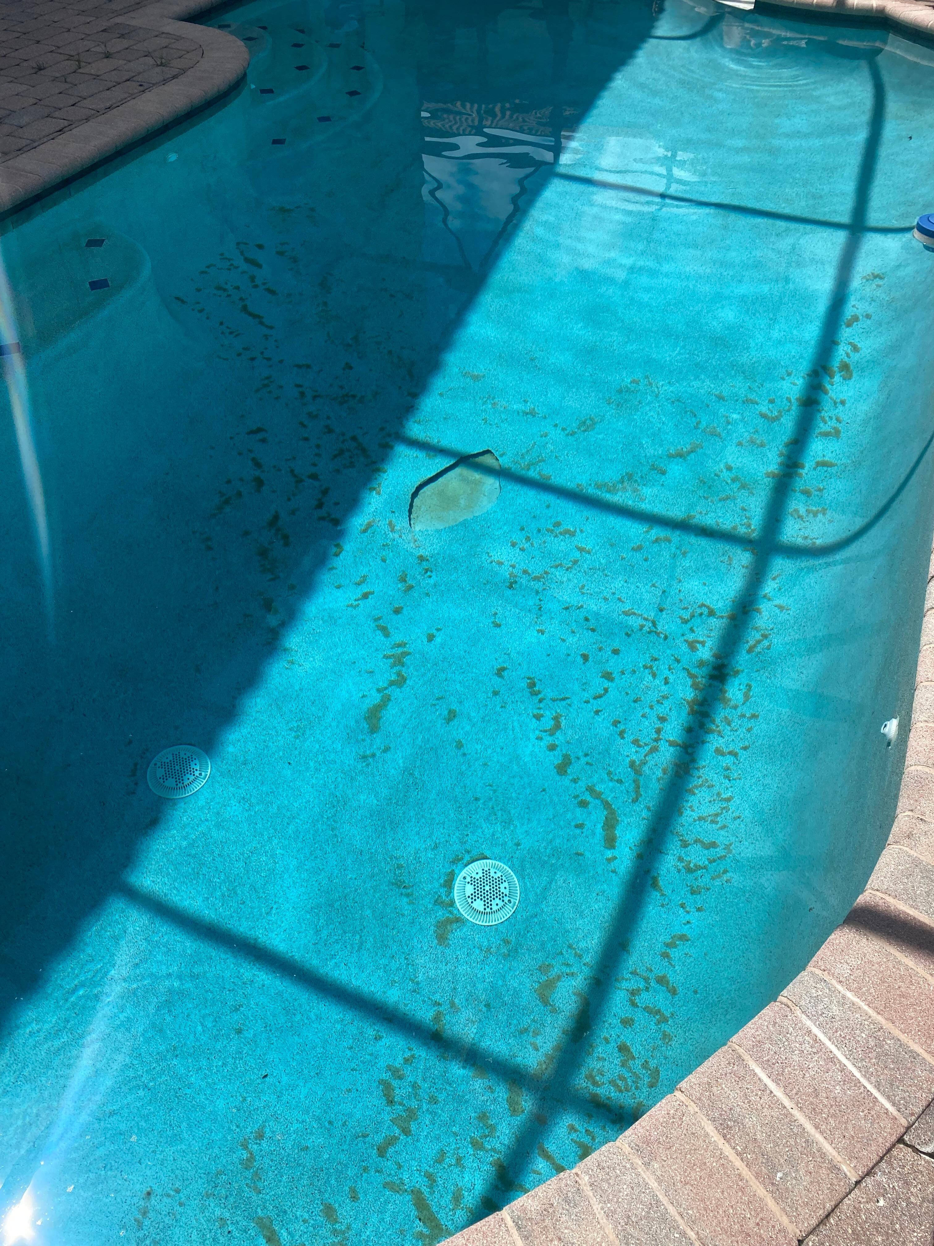 Filthy pool and damage