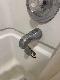 Show knob is missing to activate the shower