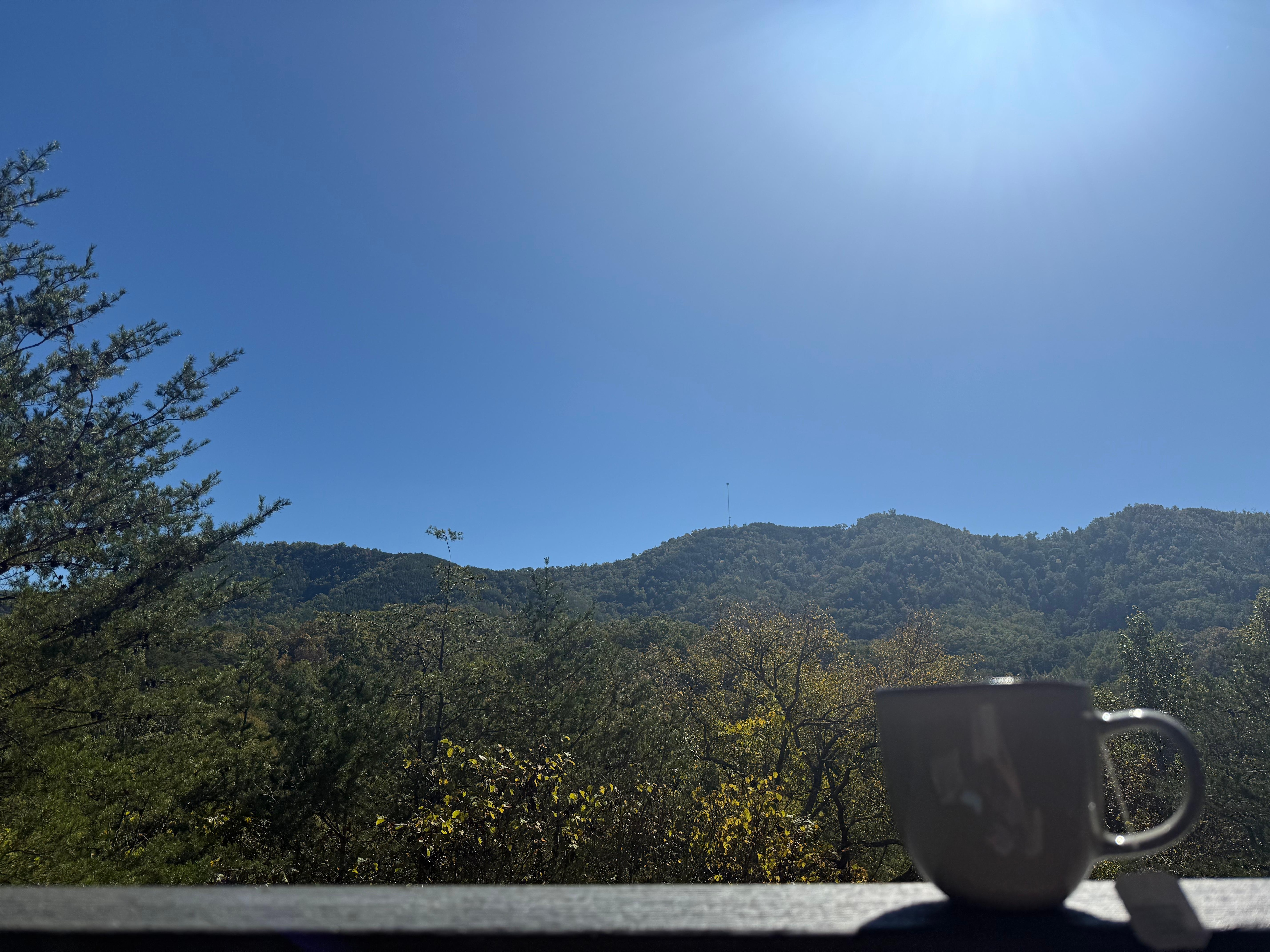 Perfect back porch for morning coffee. 