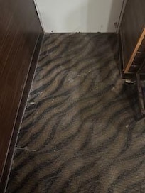 Carpet by the entry door